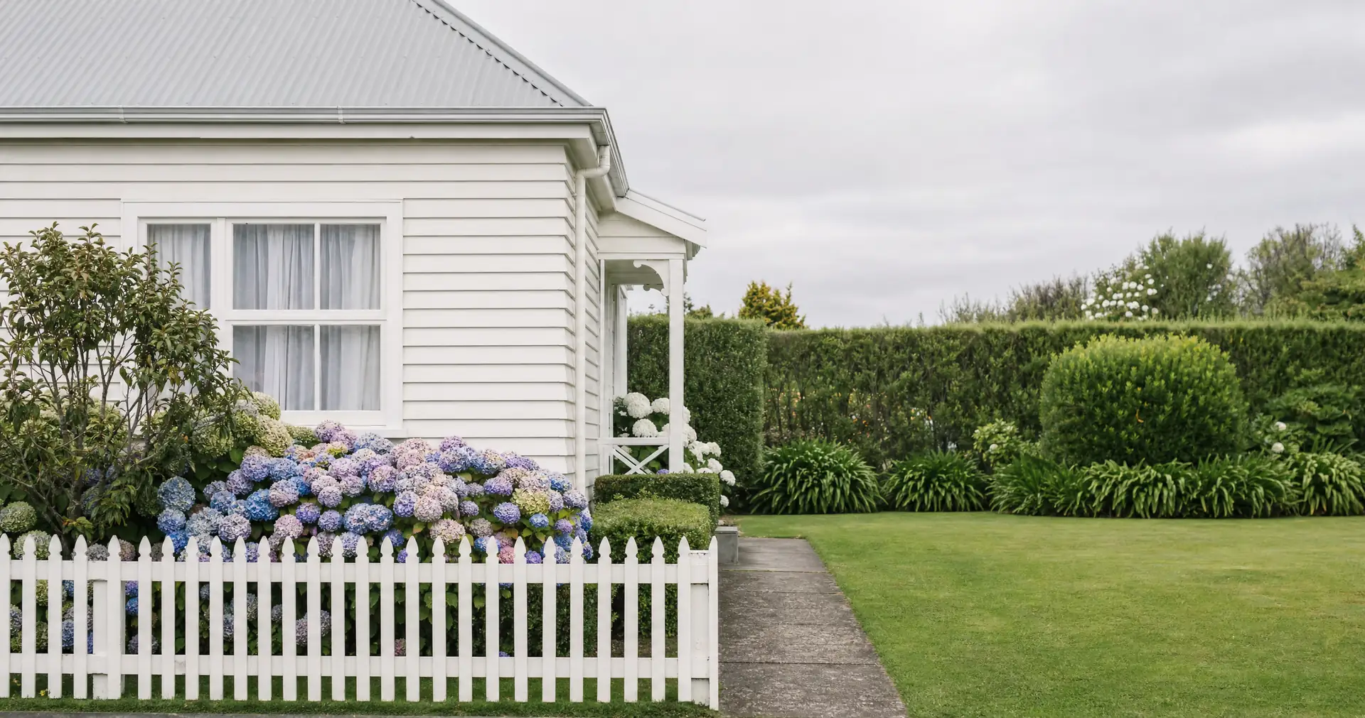 A low white picket fence and a front garden of hydrangeas, with a weatherboard wall behind.